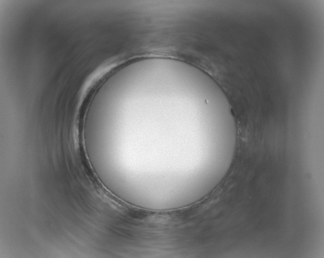 X0000081630294200702051306