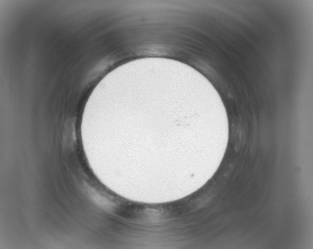 X0000081630302200702051305