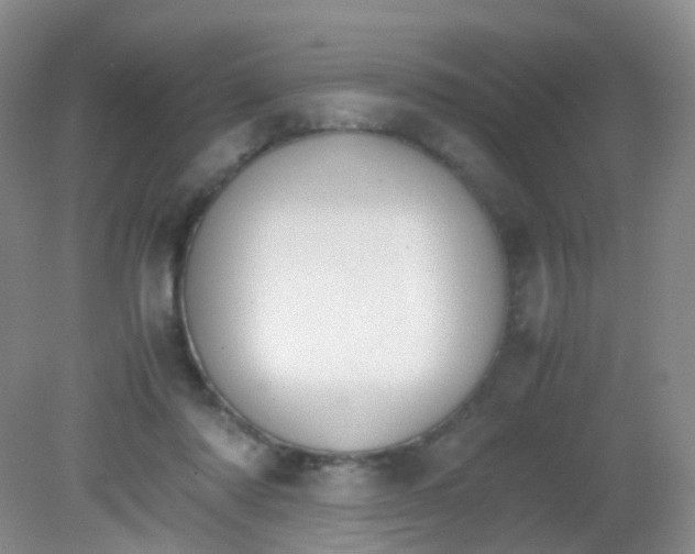 X0000081630310200702051305