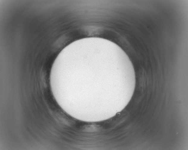 X0000081630316200702051305