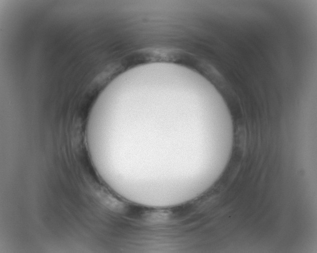 X0000081630318200702051305