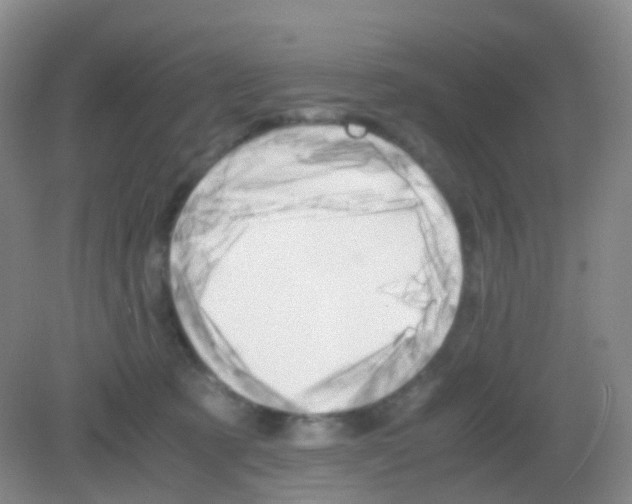 X0000081630321200702051305