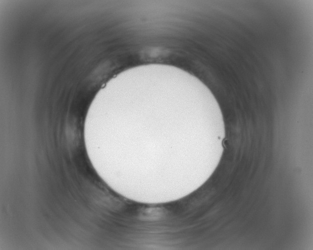 X0000081630324200702051305