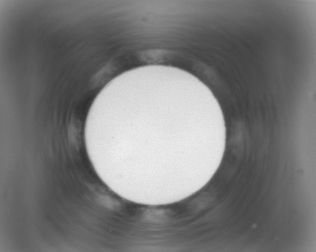 X0000081630332200702051305