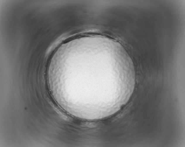 X0000081630341200702051304