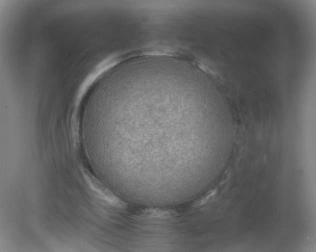 X0000081630343200702051304