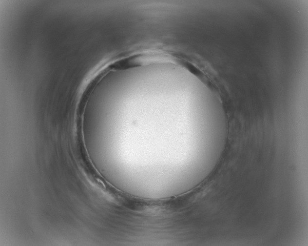 X0000081630344200702051304