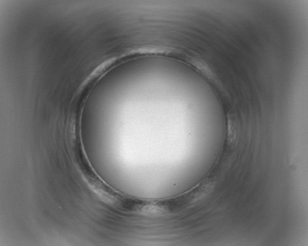 X0000081630348200702051304