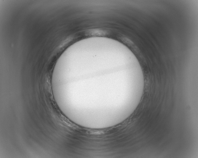 X0000081630355200702051304
