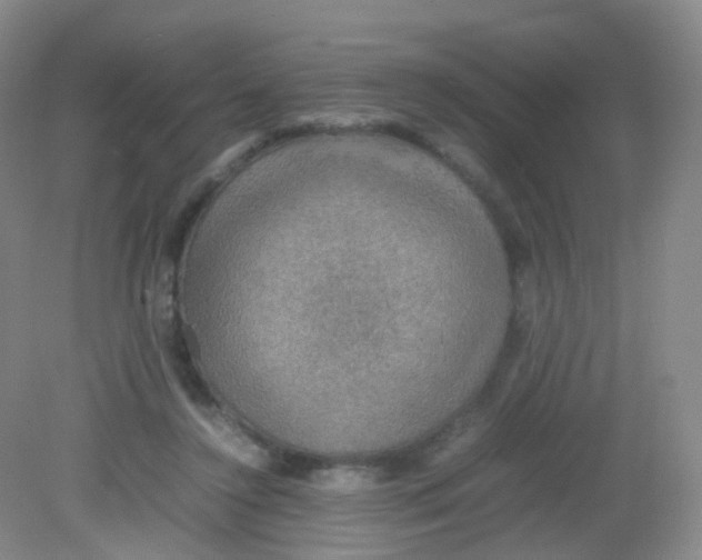 X0000081630356200702051304