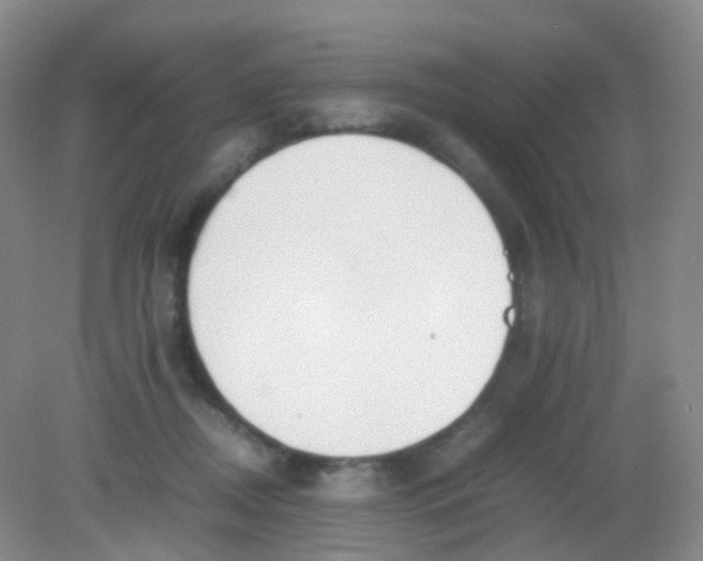 X0000081630362200702051304