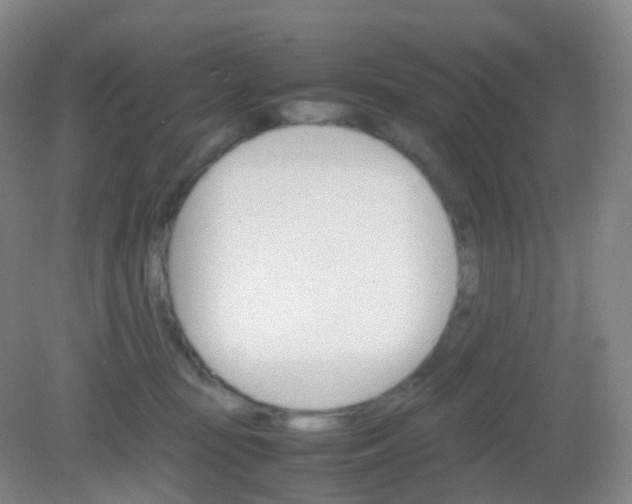 X0000081630371200702051305