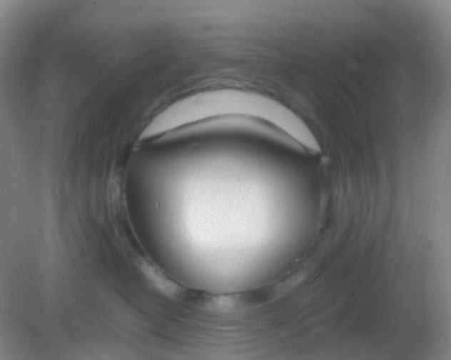 X0000081630382200702051305