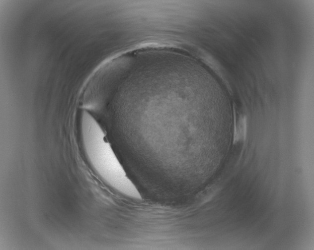 X0000081630387200702051304