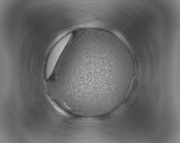 X0000081630389200702051304