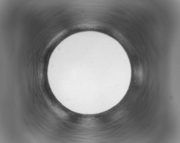 X0000081630396200702051304