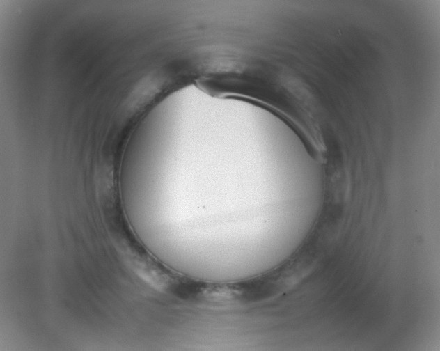 X0000081630407200702051304