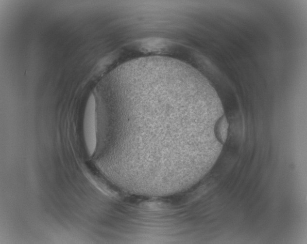 X0000081630408200702051304