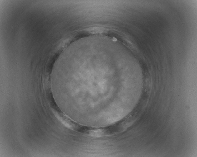 X0000081630411200702051304