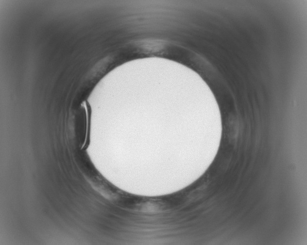X0000081630412200702051304