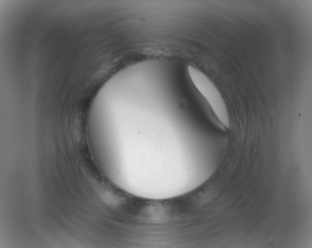 X0000081630416200702051304