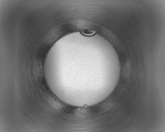 X0000081630418200702051303