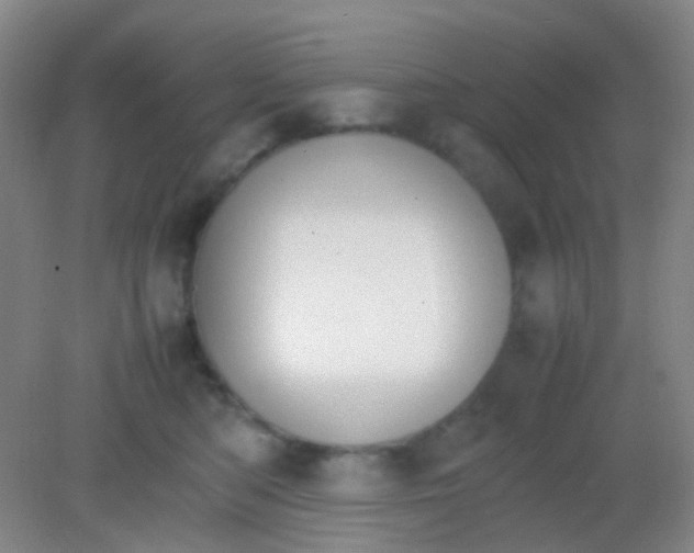 X0000081630422200702051303