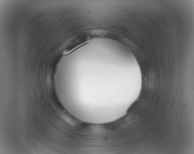X0000081630424200702051303