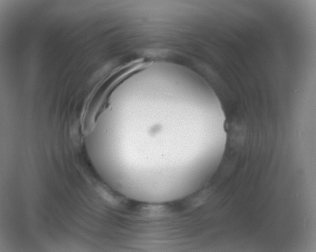 X0000081630428200702051303