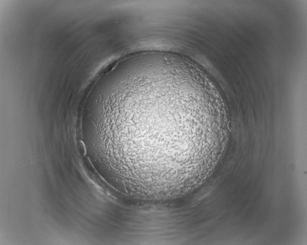 X0000081630434200702051302