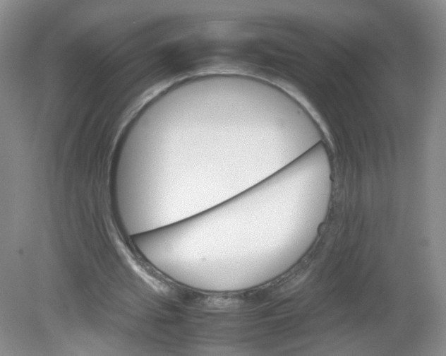 X0000081630437200702051303