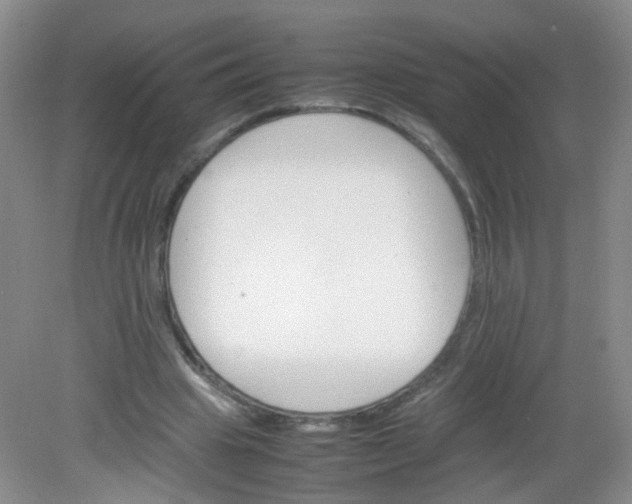 X0000081630441200702051303