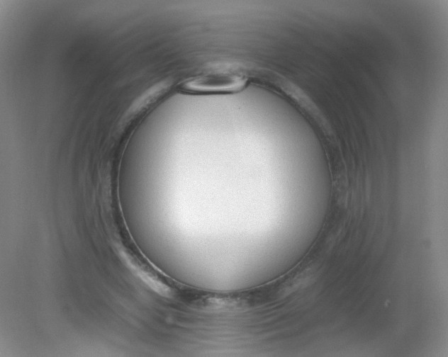 X0000081630442200702051303