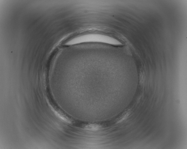 X0000081630444200702051303