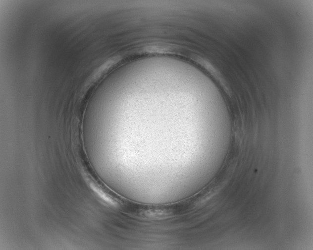 X0000081630445200702051303