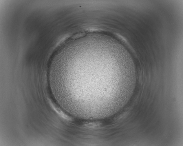 X0000081630447200702051303