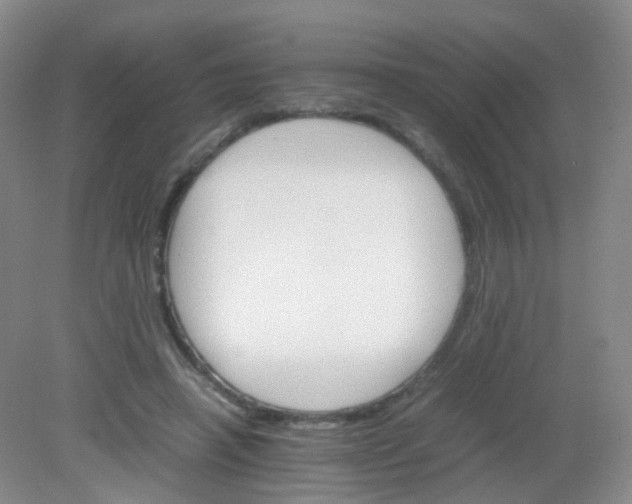 X0000081630450200702051303