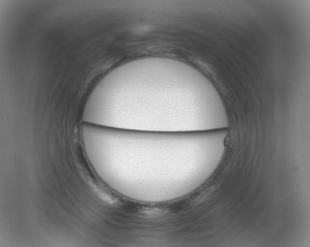 X0000081630453200702051303