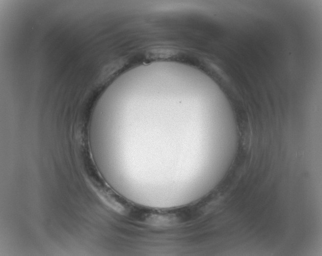X0000081630455200702051303