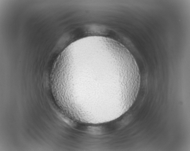 X0000081630457200702051303