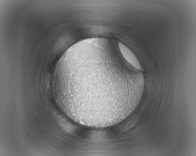 X0000081630458200702051303