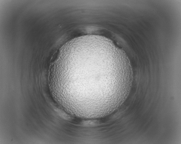X0000081630461200702051303