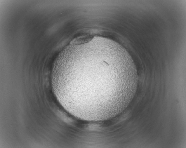 X0000081630462200702051303