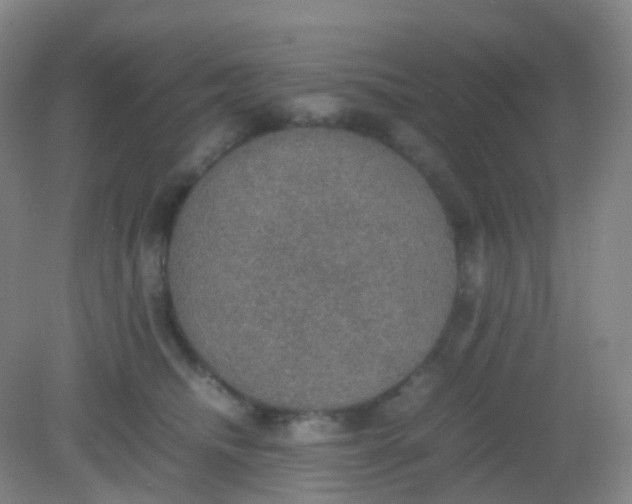 X0000081630468200702051303