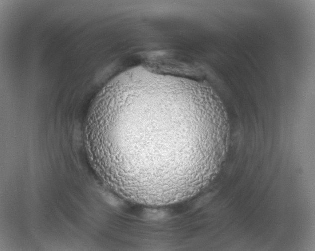 X0000081630469200702051303