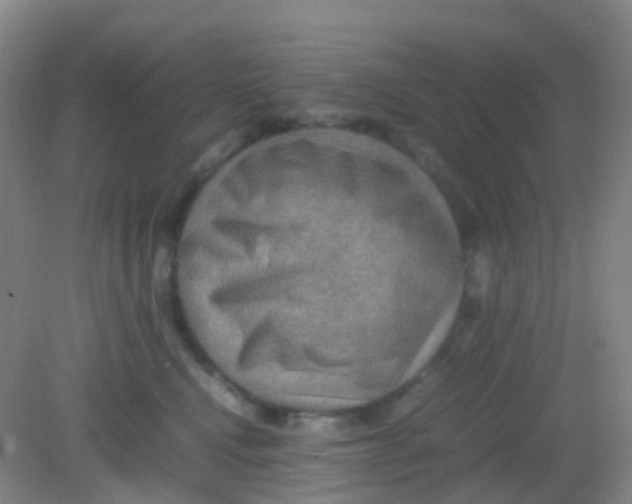 X0000081630472200702051303