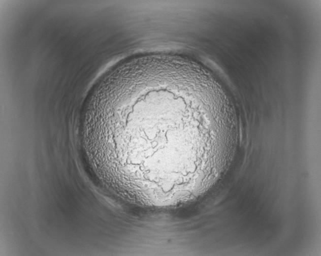 X0000081630483200702051302