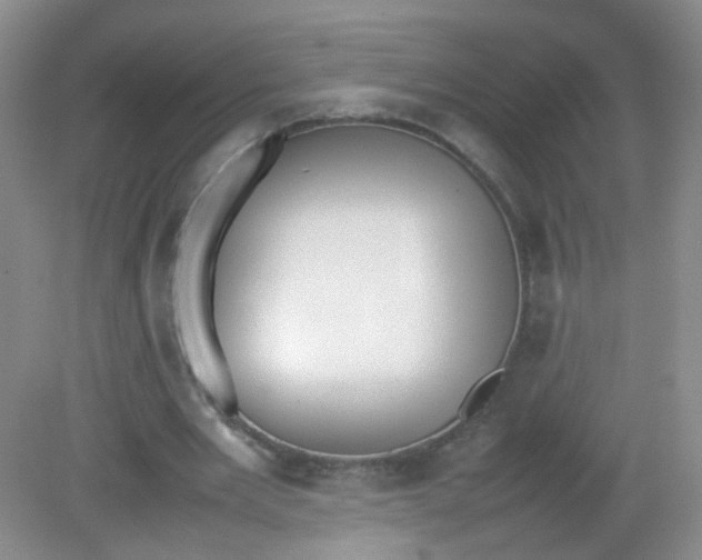 X0000081630485200702051302