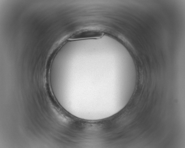 X0000081630486200702051302
