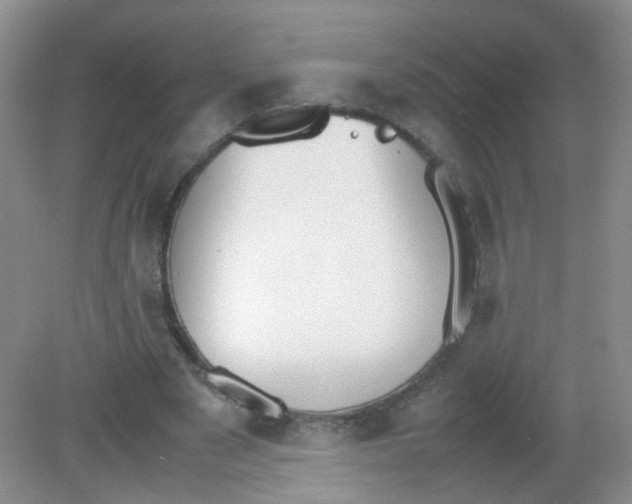 X0000081630489200702051302